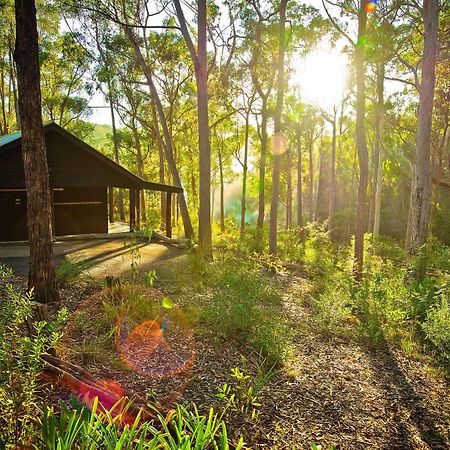 Kianinny Bush Cottages Tathra Kültér fotó